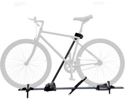 Peruzzo Pure Instinct Klem Fietsendrager Dak