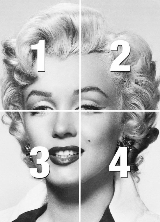 kop alarm laten we het doen Marilyn Monroe - Fotobehang 183 x 254 cm | bol.com