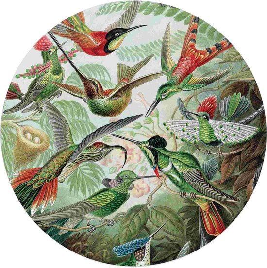 Glasschilderij Hummingbirds Ø 70 cm
