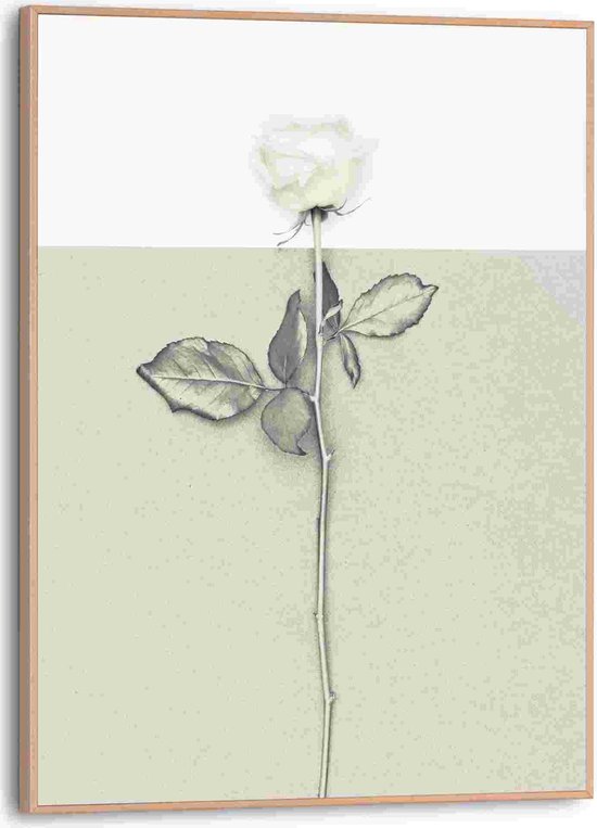 Schilderij Witte roos 40x30 cm
