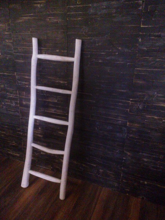 staan exegese pakket Houten decoratie ladder | Rustiek Wit | 50x5x175 | bol.com