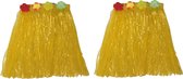 Hawaii thema verkleed rokje - 2x - raffia - geel - 40 cm - volwassenen