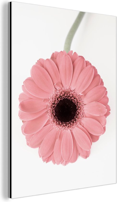 Décoration murale Métal - Peinture Aluminium Industriel - Bloem - Rose - Nature - Végétal - 120x160 cm - Dibond - Photo sur aluminium - Décoration murale industrielle - Pour le salon / chambre