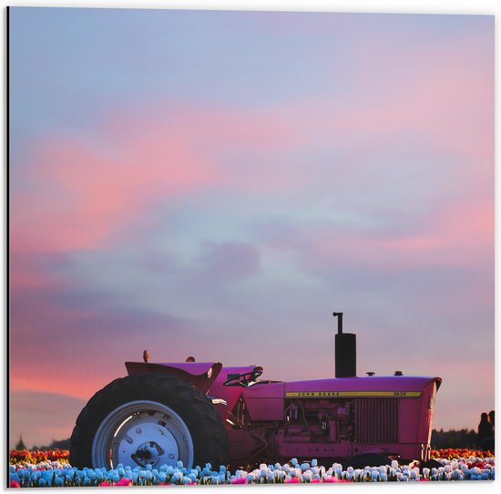 Dibond - Felroze Tractor Geparkeerd in het Bloemenveld - 50x50 cm Foto op Aluminium (Wanddecoratie van metaal)