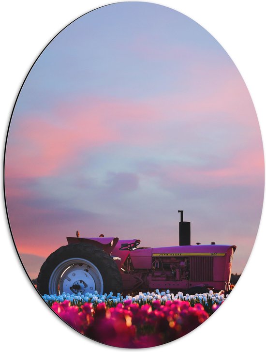 Dibond Ovaal - Felroze Tractor Geparkeerd in het Bloemenveld - 51x68 cm Foto op Ovaal (Met Ophangsysteem)