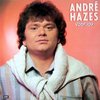 André Hazes – Voor Jou (LP)