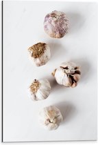 Dibond - Knoflookbolletjes Verspreid op Witte Achtergrond - 40x60 cm Foto op Aluminium (Wanddecoratie van metaal)