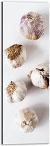 Dibond - Knoflookbolletjes Verspreid op Witte Achtergrond - 20x60 cm Foto op Aluminium (Wanddecoratie van metaal)