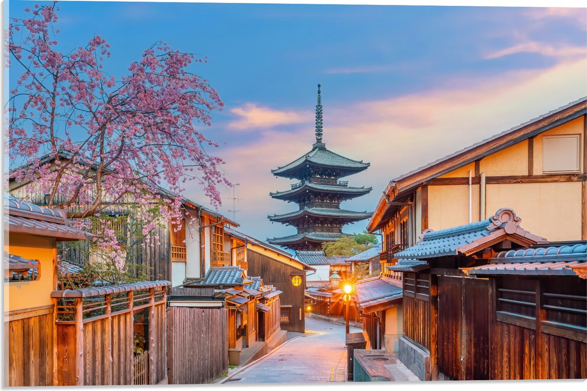 Acrylglas - Bloesemboom bij Boeddhistische H?kan-ji Tempel in Kioto, Japan - 60x40 cm Foto