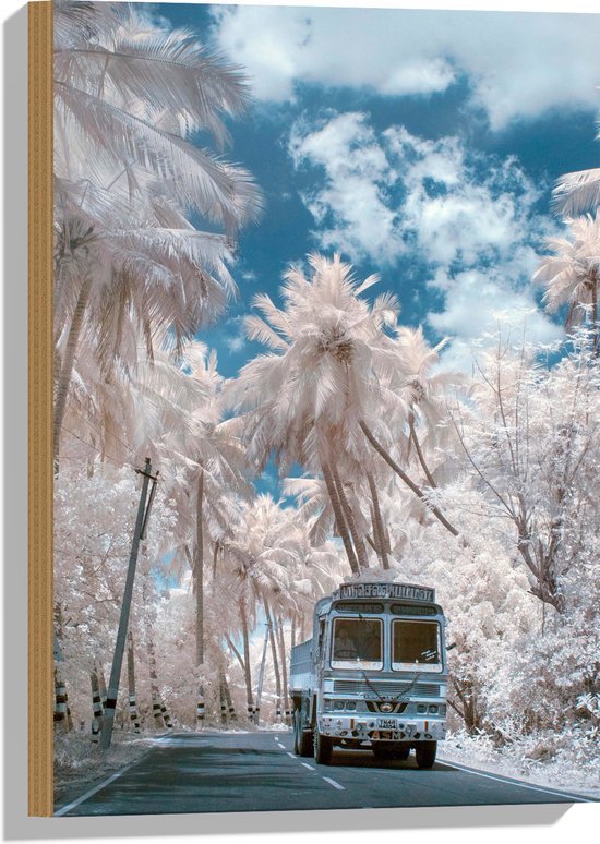 Hout - Wit Busje Rijdend tussen de Witte Palmbomen onder Schapenwolken - 40x60 cm - 9 mm dik - Foto op Hout (Met Ophangsysteem)