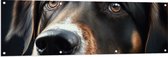 Tuinposter – Close-up van Kop van Bruin met Zwarte Hond - 150x50 cm Foto op Tuinposter (wanddecoratie voor buiten en binnen)
