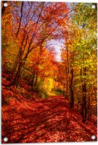 Tuinposter – Bospad Bedolven onder Rode Herfstbladeren in Herfstbos - 50x75 cm Foto op Tuinposter (wanddecoratie voor buiten en binnen)
