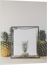 Vlag - Lijst met Ananas en Ananassen ernaast - 70x105 cm Foto op Polyester Vlag