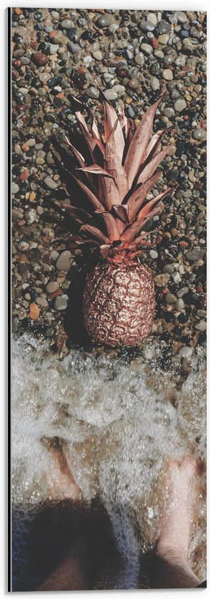 Dibond - Ananas op Kiezelstrand - 20x60 cm Foto op Aluminium (Met Ophangsysteem)