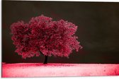 Dibond - Boom - Landschap - Roze - Bladeren - 75x50 cm Foto op Aluminium (Wanddecoratie van metaal)
