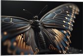 Acrylglas - Vlinder met Zwarte Vleugels met Gouden Details - 90x60 cm Foto op Acrylglas (Wanddecoratie op Acrylaat)