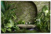 PVC Schuimplaat- Tuin met Groene Planten - 60x40 cm Foto op PVC Schuimplaat