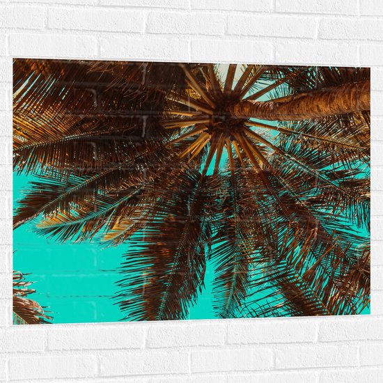 Muursticker - Bomen - Boomstam - Palmbomen - Bladeren - Tropisch - 100x75 cm Foto op Muursticker