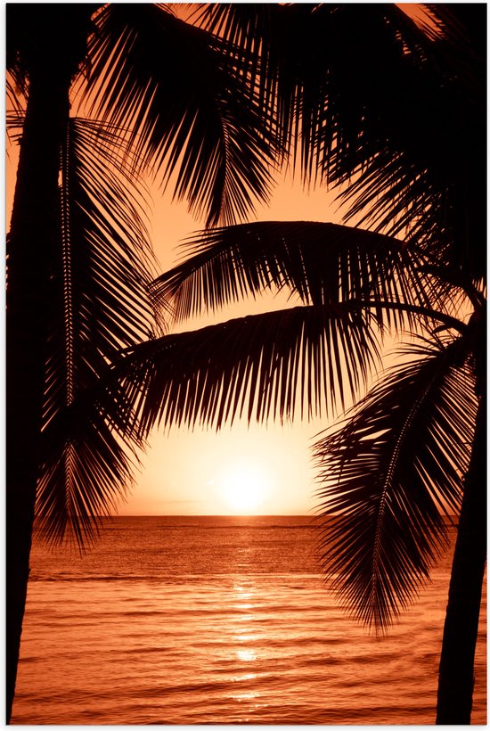 Poster Glanzend – Bomen - Palmbomen - Zee - Zonsondergang - Oranje - 50x75 cm Foto op Posterpapier met Glanzende Afwerking