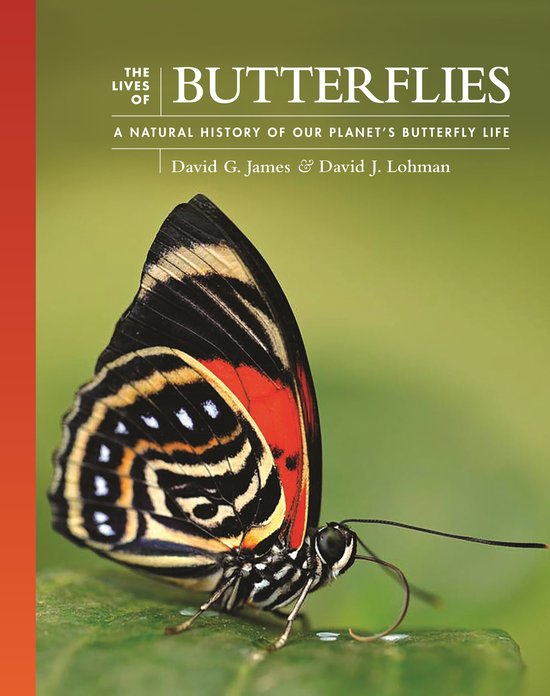 De cover van het boek "The Lives of Butterflies", met een vlinder met zwart, rood en wit, op een groene achtergrond.