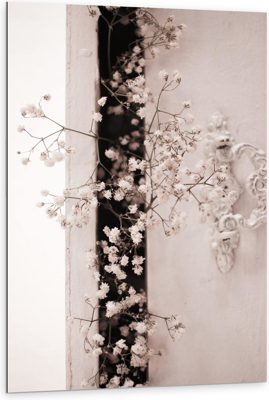 Dibond - Bloemen - Takken - Muur - Wit - 80x120 cm Foto op Aluminium (Wanddecoratie van metaal)