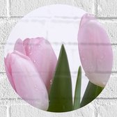 Muursticker Cirkel - Bloemen - Tulpen - Roze - Pastelkleur - Druppels - 30x30 cm Foto op Muursticker