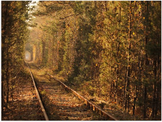 Poster (Mat) - Tunnel vna de Liefde in Oekraïne - 80x60 cm Foto op Posterpapier met een Matte look