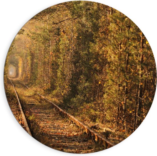 Dibond Muurcirkel - Tunnel vna de Liefde in Oekraïne - 90x90 cm Foto op Aluminium Muurcirkel (met ophangsysteem)