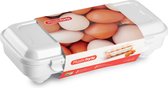 Plasticforte Eierdoos - koelkast organizer eierhouder - 10 eieren - wit - kunststof - 27 x 12,5 cm