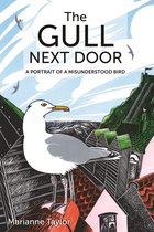 The Gull Next Door – A Portrait of a Misunderstood Bird