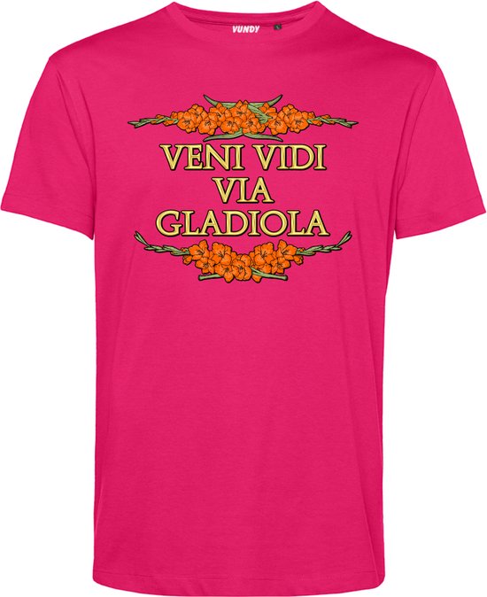 T-shirt Veni Vidi Via Gladiola | Vierdaagse shirt | Wandelvierdaagse Nijmegen | Roze woensdag | Roze | maat M