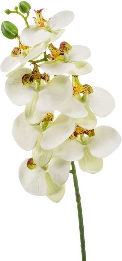 Witte Phaleanopsis/vlinderorchidee kunstbloem 70 cm - Kunstbloemen boeketten