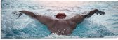 Dibond - Sport Zwemmer in Actie in het Water - 90x30 cm Foto op Aluminium (Wanddecoratie van metaal)