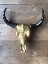 Skull buffelschedel - SKULL - Skull voor aan de muur - Buffelschedel - Wanddecoratie - Dierenschedel - Dierenhoofd - Cadeau - Decoratie - Goud - 40 cm breed