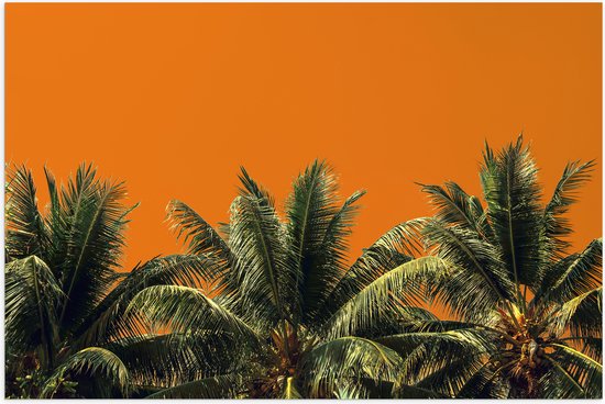 Poster (Mat) - Toppen van Palmbomen tegen Oranje Lucht - 90x60 cm Foto op Posterpapier met een Matte look