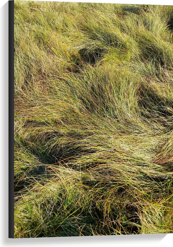 Canvas - Gras - Groen - Natuur - Wind - 60x90 cm Foto op Canvas Schilderij (Wanddecoratie op Canvas)