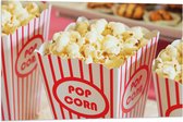 Vlag - Popcorn in Rood - Wit Bakje - 90x60 cm Foto op Polyester Vlag