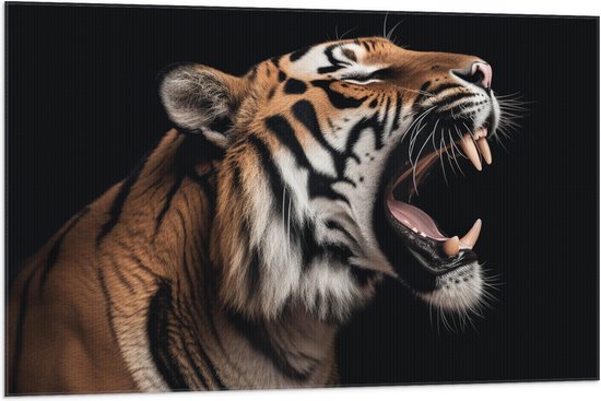 Vlag - Kop van Brullende Tijger tegen Zwarte Achtergrond - 105x70 cm Foto op Polyester Vlag