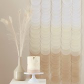 Ginger Ray - Ginger Ray - Neutral Ombre Tissue Paper Disc Party Backdrop