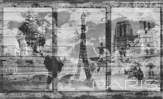 Papier Papier peint photo Intissé - Monuments de Paris - Tour Eiffel - 254 x 184 cm