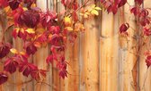 Fotobehang - Vlies Behang - Herfstbladeren op Houten Planken - 368 x 254 cm