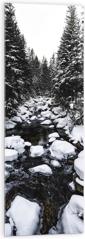 Acrylglas - Sneeuw - Bomen - Bossen - Rotsen - Stenen - Water - Zwart - Wit - 40x120 cm Foto op Acrylglas (Met Ophangsysteem)