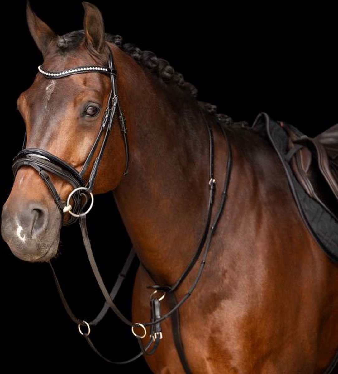 Sac JHL En Cuir Véritable Italien – Hunter, Cuirassé, Course, Martingale – Noir Intemporel