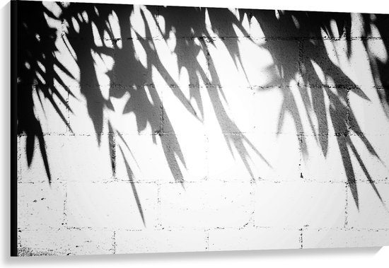Canvas - Planten - Bladeren - Muur - Schaduw - Zwart - Wit - 120x80 cm Foto op Canvas Schilderij (Wanddecoratie op Canvas)