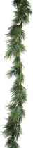 Pinus Slinger Liv Groen 160cm