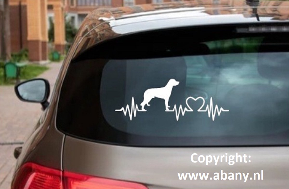 Grote münsterländer 3 x – autosticker - sticker voor raam auto deur muur laptop - heartbeat - rashondensticker - hondenlijn – hondenriem - Doglove - Abany quality design