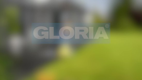 Gloria