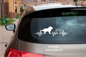 Maltezer leeuwtje - rashondensticker 3x - hondenlijn – hondenriem - Doglove - Abany quality design