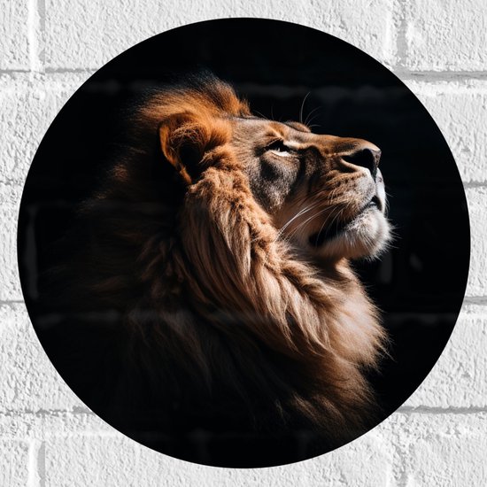 Muursticker Cirkel - Zijaanzicht van Leeuw in de Zonnestralen tegen Zwarte Achtergrond - 30x30 cm Foto op Muursticker
