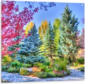 Tuinposter – Parkje - Bomen - Bloemen - Planten - Bankje - Kleuren - 100x100 cm Foto op Tuinposter (wanddecoratie voor buiten en binnen)